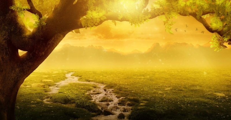 解読セッション